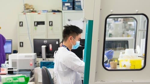 Research staff working in a lab