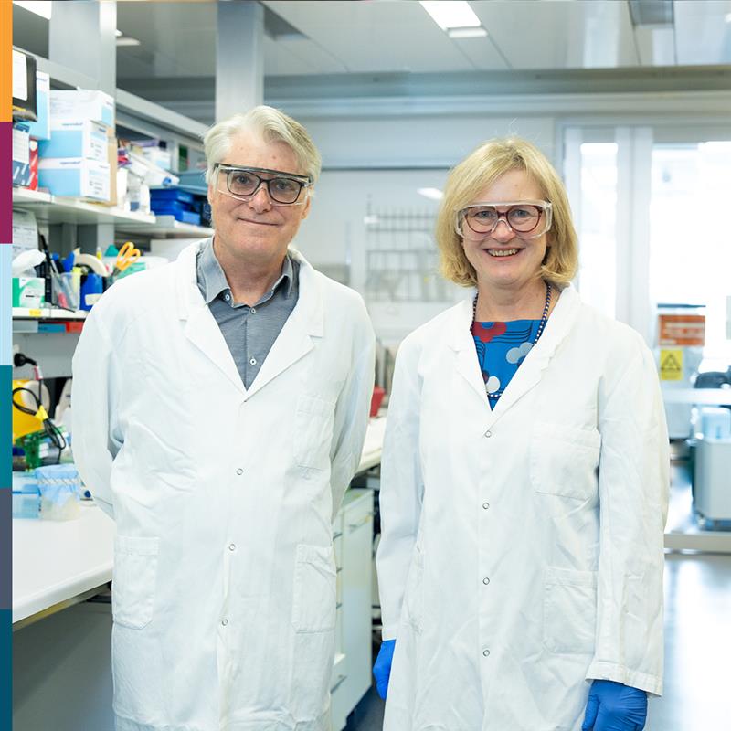 Snow Centre for Immune Health Co-Directors Professor Phil Hodgkin and Professor Jo Douglass