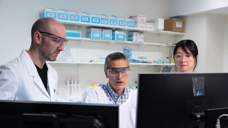 RMH and WEHI researchers