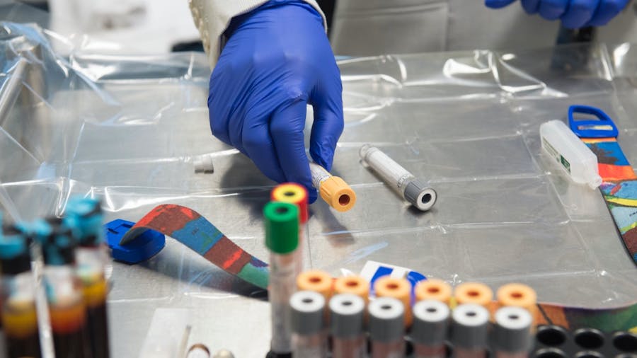 Person handling test tubes for research