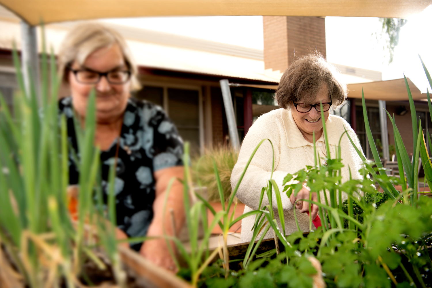 Residents gardening at Boyne Russell House