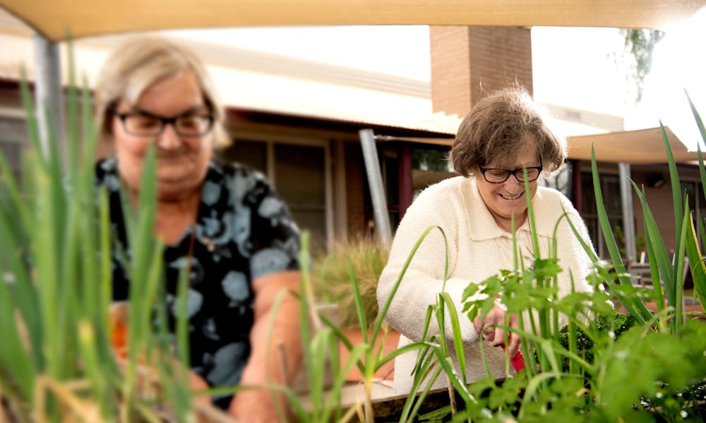 Residents gardening at Boyne Russell House