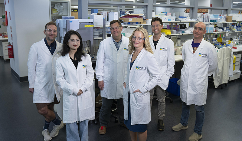 ibd-study-lab-team.jpg